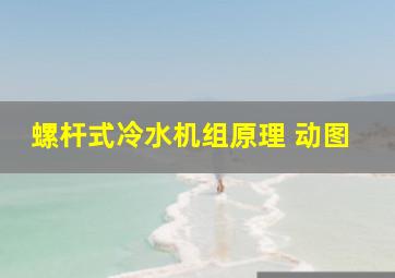 螺杆式冷水机组原理 动图